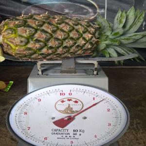 Ananas - fruits et légumes nous fournissons l ananas de la malaisie. excellente qualité md2.-- grandes quantités sont disponibles. --calibre - minimum1.3 kg/ pièce.-- heureux pour toute commande sérieuse.