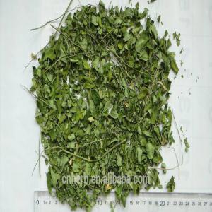 recherche fournisseur de feuilles de moringa - semence graine plant bonjour, ----je cherche un fournisseur de feuilles de moringa en provenance du sénégal pour un partenariat sur le long terme (commande régulières et échéances de paiement respectées...)