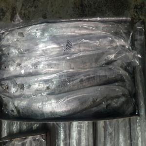 RIBBON FISH(sable.ceinture) - poissons bonjour --nous ofrrons ribbon fish (sabre , ceinture)--ribbonfish . avec de prix hors de tout concurrence....--catching purse seine--block 10kg interleaven--origen ecuador --grade a--100-200   2$/kg--200-300   2.65$/kg--300-500   2.8$/kg--500-700   2.8$/kg--700-1000 2.8$/kg--grade b--200-500    2, 2$/