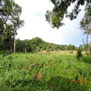 vente terrain sur nosy be - mine terrain concession bonjour, --je souhaiterai vendre mes terrains sur l'ile de nosy be a madagascar pour une superficie total de 346 ha. ces terrains peuvent aussi bien etre agricole ou constructible. une partie de ces terrains sont en bord de mer (palétuvier). pour plus de détails merci de me contacter en