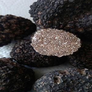 ruffles - fruits and vegetables wholesale truffle sales.  ( tuber aestevum ,  tuber uncinatum,   tuber brumale,   tuber borchii)  the truffle mushrooms in the season are wholesale to the rest of the world .