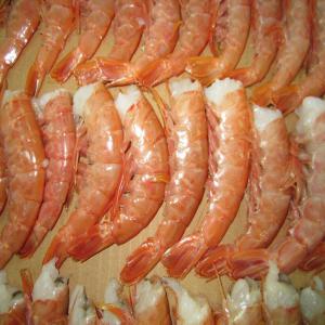 Crevettes rouges de l'Aregentine - coquillage crustacé 1kg hoso,  2kg hoso,  6kg hlso,  2kg hlso,  etc. --nos produits principaux sont les crabes,  crevettes d’ argentine,  et la legine australe également d’ argentine.--nous gérons le suivi/ contrôle qualité du produit (inspection des containers sur place). tous les contrôles 