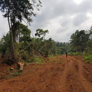 Recherche acheteur terrain agricole  - mine terrain concession bonjour je possède 3 terrain agricole en vente de grand envergure au cameroun, notamment dans la région du centre, precisement la capitale yaoundé . 10ha à maximum 20mins du centre ville yaoundé, 700ha à maximum 50mins du centre ville yaoundé,  400ha non 