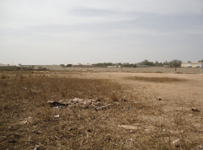 Vente de Terrains au Sénégal - Diamniadio, Diass 