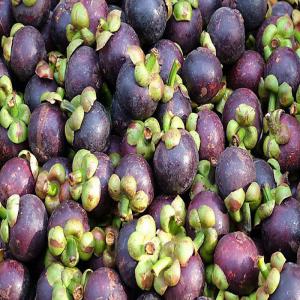 La reine des fruits  - fruits et légumes mangoustan,  considérée comme la reine des fruits a un vertu exceptionnel et inégalé des fruits que nous avons l'habitude de manger. je laisse chercher par vous meme les bienfaits qu'il apporte. a vos recherches!! et n'oubliez pas de me contacter une fois conquis.