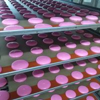 Fournisseur de macarons pour les professionnels d - patisserie entreprise traditionnelle située en tunisie,  nous sommes spécialisé dans la fabrication de macarons et coques de macarons--nos conditionnements vrac ou individuels nous permettent de répondre à une large demande.--* indépendants des métiers de bouche-