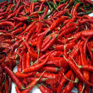 piment afriacain sec long - fruits et légumes je dispose d'une grande quantité de piment sec africain a vendre a un puissant acheteur.je reside en cote d ivoire dans la region de agnibliekro.vous pouvez me contacter 