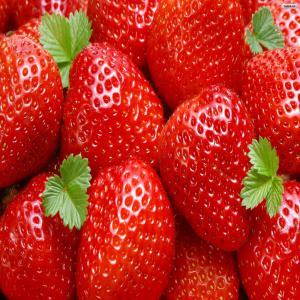 02 Hectares de Fraise  - fruits et légumes nous sommes  société agricole possédant 02 hectares de fraise variétés camarouza (variété importée de usa),  la récolte commence de 2ème semaine mois de mars 2018  jusqu'à 1ère quinzaine mois juillet 2018 et nous cher