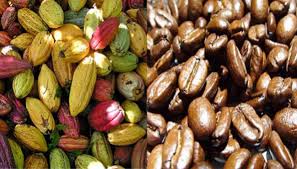 vente de cacao  café et - café cacao thé nous sommes un groupement d'agriculture et nous disposons de cacao ,  biologique,  de très bonne qualité.--nous pouvons livrer jusqu'à 50.000 tonnes à raison de 1000tonnes/mois--prix 1146000cfa/tonne ,  prix fob--caractéristiques plus détaillés sur deman