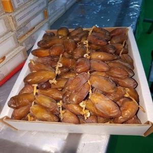 Dattes deglet nour de Tunisie top qualité - fruits et légumes nous exportons des dates tunisiennes ,  deglet enour ,  qualité supérieure,  branchée ,  nouvelle récolte 2017,  dans des paquets de 500gr ,  1 kg ou de 2 kg ou 5kg . on vous offre la possibilité de nous visiter et voir la qualité pour une collaboration à l