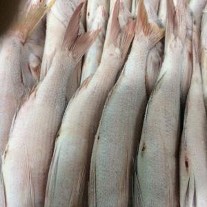 vente  - poissons sols poupoules chinchard sardinelle rondes et plates seiches sompates brochettes baracounda yakh dorades thiofs 