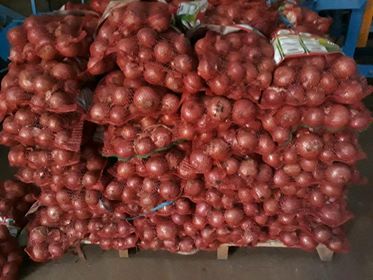 affaire a saisir ( oignons rouge )  - fruits et légumes déstockage de 2000 tonnes de oignons rouge 80 tonnes conditionné-calibrer et 120 tonnes  vrac big bag ou caisse --