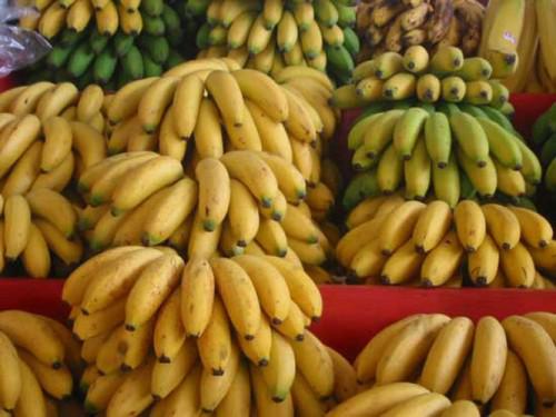 Fruits exotiques et fruits secs - fruits et légumes bsr, --les produits disponibles sont les suivants ---banane--mangue--ananas --avocado--noix de coco --guave --papaye --pomme de terre sucré --acajou --pistache --arachide--des produits bio, de qualité et surtout à bas prix.--merci de nous contacter--cordialement.