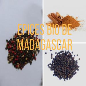 POIVRE DE MADAGASCAR - épices aromates bonjour, --mon enseigne distribue divers épices provenant de madagascar tel que poivre noir lourd et poivre moulu,  voatsiperifery moulu et piment moulu.--ce sont des produits prets à etre exportés,  bio (labellisation en cours d'acquisition) et issu du commerce équitable. d