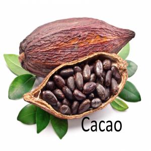 Achat de Cacao biologie et huiles ... - fruits secs et graines grillées cabinet d'expertise agricole , recherche des fèves de cacao biologie en grandes quantité , variété de cacao - criollo,  trinitario,  forastero , avec certificat bio . cacao cru ,  c'est à dire fermenté ,  séché,  non alcalinisé,  non torré