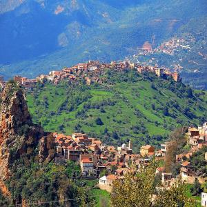 Recherche fournisseur de café vert - café cacao thé bonjour,  --je suis sur le point de lancer une petite torrefaction de cafe dans ma region de kabylie en algerie,  de ce fait,  je recherche un fournisseur de café vert ( arabica et robusta . ) et je vous prie de me communiquer quelques renseignements quant aux obligations légales li&eacut