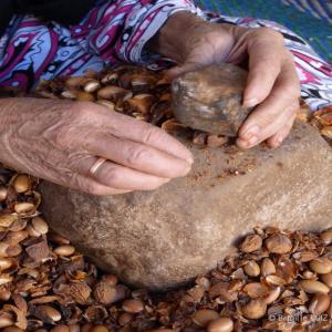 Vente d'huile d'Argan bio certifie eco - olis producteur recherche de client huiles.--huiles d'argan et figue de barbarie en gros--nous somme une association marocaine qui fabrique les produits d'argan bio et 100% originale.--pour toute information merci de nous contactez