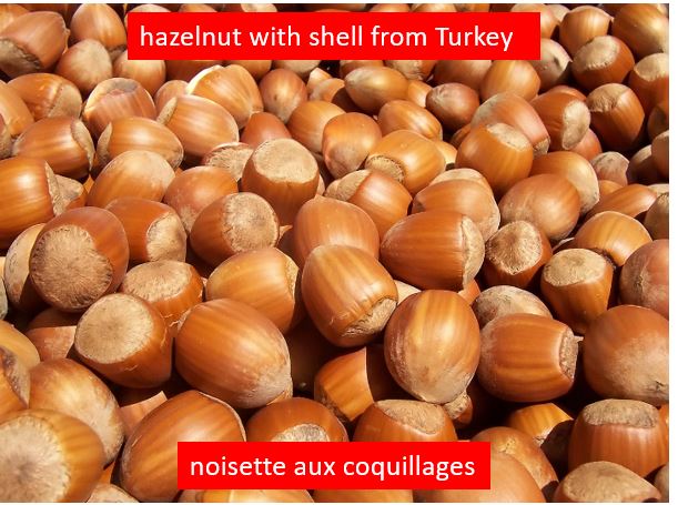 Vendre Des Noisettes/ Hazelnut inshell - roasted seeds and nuts hello,  we write you from turkey. hazelnuts are from the blacksea region of turkey. --every year new products good quality hazelnut raw in shell low price for sale from turkey. packaging details--50-80kg jute bag or 5-25kg vacuum bag and carton box. size- 16+mm--port-istanbul-------------------------