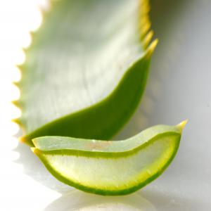 aloe Vera bio  - matiere vegetale     bio aloe vera en bouteillle 1l - 12 €/unité--    bio aloe vera en bib 20l -10, 25 €/litre--ce gel d'aloe vera bio pasteurisé de puraloé est un extrait de pulpe fraîche de feuilles d'aloé-vera bio à la concentration optimale.