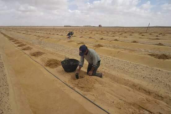 Installation unité de production d'aliments pour  - aliments pour animaux cherche partenaire pour l installation , la production d'aliment de bétail et de volaille au sénégal west africa.le site existe déjà sur une superficie trés importante situé a 180km de dakar dans une région du sénégal au bassin arr