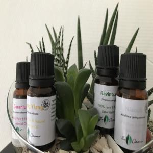 Huiles essentielles 100% pures et naturelles - huiles basée à madagascar,  soahary trading exporte des produits malgaches,  avec le plus de choix qualitatif possible,  vers le monde entier.--nos produits -  ilo aroma  avec une trentaine de référence en huiles essentielles 100% pures et naturelles,  huiles végétales