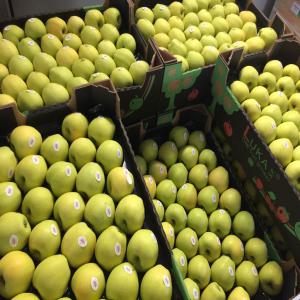 POMME GOLDEN disponible - fruits et légumes  pomme golden cat.1 --disponible 1 camion/semaine à partir du mercredi 2 mai 2018 jusque fin mai/début juin----prix net départ cavaillon--70-75 = 0, 95 eur/kg --75-80 = 1, 00 eur/kg --80-85 = 1, 05eur/kg ----emballage - colis 60/40 2 rangs marque « luka » ,  stickers sur le rang sup