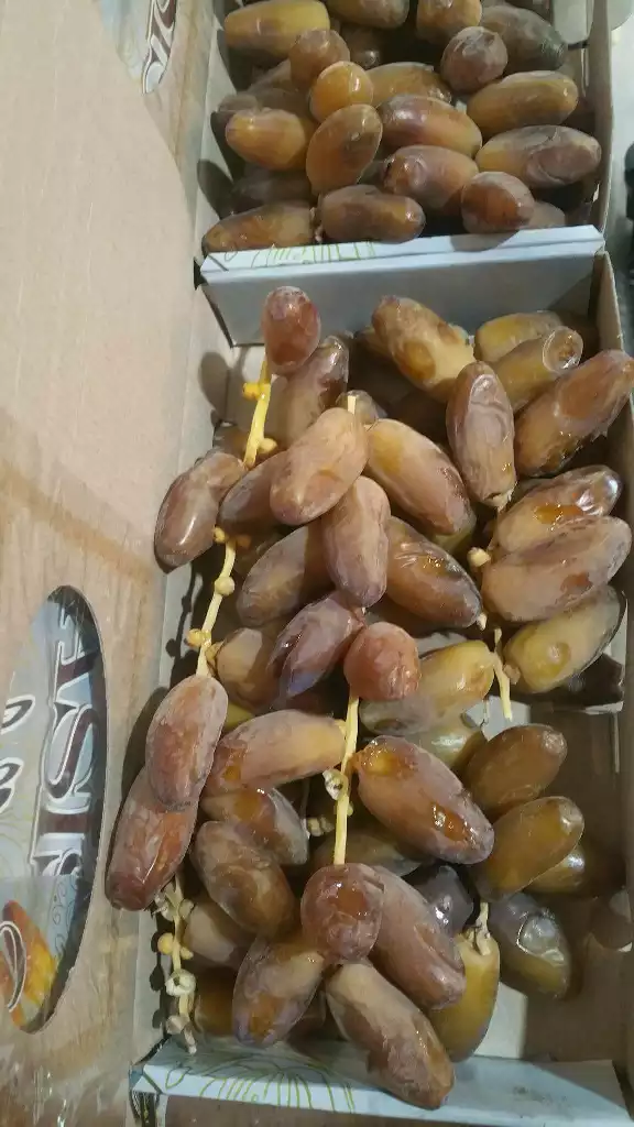 Dattes Deglet Nour et autres variétés d'Algérie - fruits secs et graines grillées nous sommes producteur  de dattes deglet nour et autres variété d'origine algérie trés bonne qualité (qualité 1er et 2eme choix),  nous disposons de trés grande quantité de dattes deglet nour pour l'exportation l'emballage au choix de client ( 5