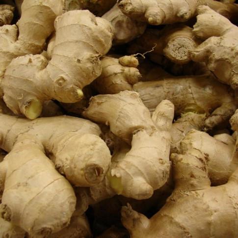 GINGER FROM MADAGASCAR : DRY OR FRESH - aromatic spices we are just starting the harvest of ginger here in madagascar.--we are offering fresh,  dry finger and dry sliced ginger.--for pricing,  packaging and delivery concerns,  please inbox me.--this offer is valid until stock last.