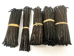 Gourmet vanilla beans from Madagascar type Bourbo - seed plant seed gourmet vanilla beans from madagascar type bourbon vanilla--length - according to customer requirements,  we can offer below size ---15/16 cm--16/18 cm--18 and longer--color - black vanilla beans--moisture content-    30 to 35 %--vanillin content-      1.6 to 2.4 %--grade-   a (15 cm and longer)--typ