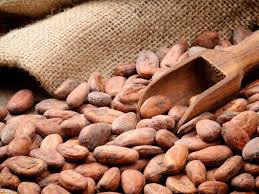 Fèves de cacao de Madagascar - café cacao thé nous commercialisons des fèves de cacaos issus d' ambanja,  la partie nord de madagascar. le notre est un mixage des 3 variétés de cacao (criollo,  trinitario et forastero).--information approximative sur 100g de fèves de cacao ---- 95 fèves/ 100g--- 5 fèves e