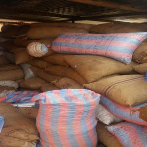 Anacarde du burkina  - fruits secs et graines grillées nous disposons de 500 tonnes d'anacarde non décortiqué disponibles au burkina faso. pour tout client qui est intéressé nous pouvons lui vendre ça comme on peut les faire décortiquer. 