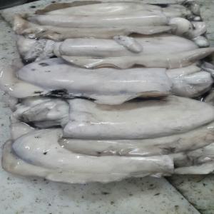 OFFRE SEICHES ENTIERES MAROC  toutes tailles  - poissons sieches entieres peche du jour super qualite non traitée  maroc origine--cuttle fish cleaned day catch super quality not traited  morroco origine 