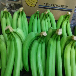 Bananes - fruits et légumes on est producteurs et commerçants de bananes et autres fruits exotiques de colombie et nous cherchons des clients.