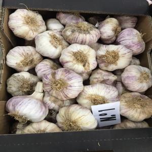 Ail Espagnol 100% - fruits et légumes nous sommes producteurs a l'espagne d'ails varieté---spring violet et blanc.--nous pouvons vous fournir l'ail de l'espagne en gross pour conteneurs---- en vrac- sac 25-50,  carton 6,  10 kg--- filet 100, 200, 250-500-1000 gr.----prix tres competitive--contactez a notre email commercial.--merci 