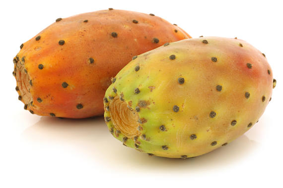 Prickly Pear Seed Pure Oil Organic 100% - olis our prickly pear seed oil is organic certified by usda and ecocert,  we have all the documents needed to export our product to any country,  let us know your need to provide you with more detail to complete the transaction. kindly