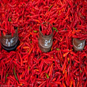 permaculture  - fruits et légumes bonjour je recherche de nouveaux clients .  je viens de démarrer mon activer dans la permaculture où je produits du piments d'excélentes qualités  sans produit chimique ,  tout est naturelle pourquoi acheté chez nous,   nos prix qui défis  toute concurrence ,  nous so