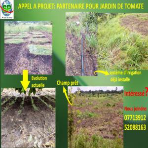 RECHERCHE DE PARTENAIRE POUR JARDIN DE TOMATE - fruits et légumes partenaire pour champ de tomate déjà encours - affaire très rentable--nous sommes une structure de prestation de service et vente de produits agricoles situé à la riviera/abidjan/côte d'ivoire.--vous etes intéressé par les projets agricoles et c