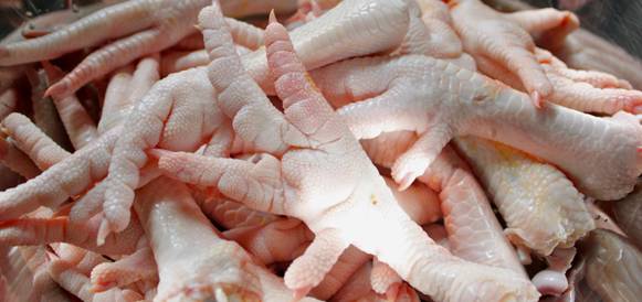 High Quality Processed Grade A Halal Chicken Paw - meat and eggs specification----very clean---grade a quality---no yellow skin---no black dots---no bad smell(very very clean)---thoroughly washed---weight -35 -45 grams---dryness- dry from any water 0% moisture--- frozen situation- cooled down,  frozen fresh frozen at least 10 hours--in -04 degrees and then stocked