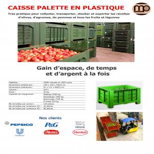 CAISSE PALETTE EN PLASTIQUE - conditionnement nous fournissons les caisses palettes qui ont la capacité de chargement la plus élevée sur le marché. --très pratique pour collecter,  transporter,  stocker et exporter les récoltes d’olives,  d’agrumes,  de pommes et tous les fruits et légumes.----- gain