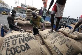 CACAO ORIGINE CÔTE D'IVOIRE