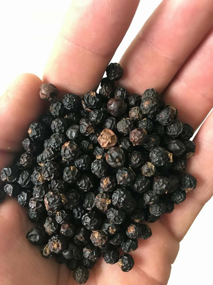 BRAZILIAN BLACK PEPPER  - coffee cocoa tea works with the highest quality black and white pepper. looking for attend the most judicious markets in the world,  based mostly in taking care about quality of the plantation,  pesticides,  time for harvest and drying method.--all the plantations follow rigorous methods of distance between piles,  syst