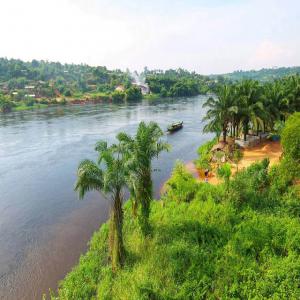 propriétaire foncier 1000 hectares Agricole   - mine terrain concession je recherche un partenaire financier agronome ou pas,  je possède une cité de 30 villages au congo rdc (+ de 1000 hectares cultivable),  je vie en france et mon entreprise est également implanté en france. je débute le développement économique de ma con