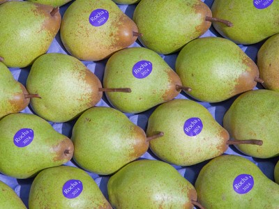 poire - fruits secs et graines grillées  je cherche le prix des poires  de marque betko et de poires de marque rocha --je souhaite trouver des fournisseurs