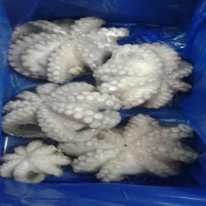 octopus IQF Morocco  - fish  octopus cleaned (iqf) in flora.--products from morocco--from taco 1 to taco 5.--good quality.--for export.--cordially--