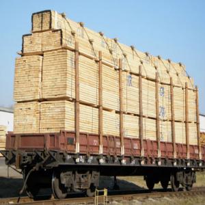  Timber of pine,  fir,  oak,  beech (500 CBM) - other  timber of pine,   fir,   oak,   beech (500 cbm)----commodity            - timber of pine,  oak,  fir,  beech natural humidity and dried--origin                     - ukraine.--packing                  - upon sellers request--quantity       	- 500 cbm a month --delivery by            - containers / truck-