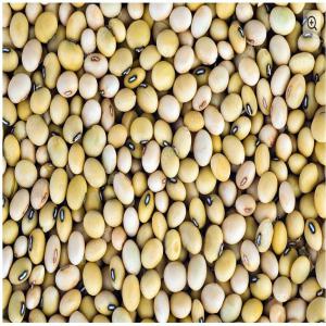 Vente de Soja Bukrina - Sale Soybeans Burkina - semence graine plant commerce familiale longuement installé au burkina-faso producteur et exportateur de nos quatre plantations de production au burkina faso. capacité annuelle de 600 000 tonnes avec stock actuel (2016,  2017) de 1100 tonnes. xof 310 / prix par kg pour l'achat de ouagadougou triés,  n