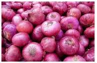 Onion rouge  - fruits et légumes onion rouge de la tunisie expédié vers l europe  dans des conteneur de 20 ou 40 --pour autre pays le prix change selon les tarifs du transport. --ce prix n est que pour une période limité du temps ,  alors profitez - en     