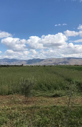 terrains au maroc dans mediouna a vendre trés bon - mine terrain concession des terrains au maroc dans mediouna a vendre trés bonne état agricol et les projets de construction bien titré chaque titre à une spesephic surface --9000 m²--2hectar--4hectar--5hectar--12hectar