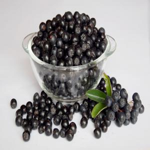 Baies d'Aronia fraîches - fruits et légumes nous vendons environ 5 tonnes de baies d'aronia fraîches. c'est une production familiale,  les baies étant cultivées et récoltées de façon traditionnelle. tout le travail se fait à la main. nous sommes situés en moldavie et la visite de la planta