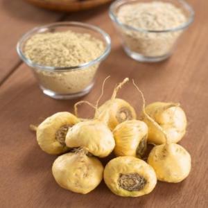 exportateur Produit Bio Amérique  du Sud   - autres exportateur maca bio haute qualité 100% pure --emballage hermétique  de 250gr ,  500gr , 1kg ,  10kg .--notre produit est certifié bio norme eu .--